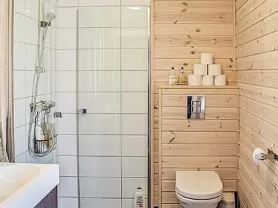 a bathroom with a toilet and a shower at 4 star holiday home in Fall-By Traum in Raufoss