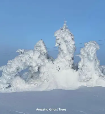 a pile of snow covered trees in the snow at Hafjell Alpinlandsby Apt 88 in Hafjell