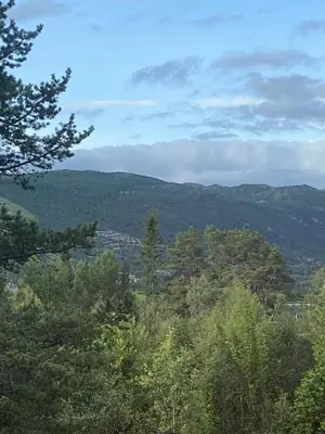 a view of a valley with trees and mountains at Sunny and beautiful cabin in Geilo in Geilo