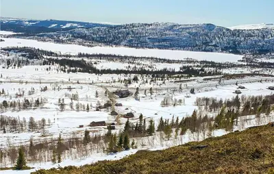 an aerial view of a snow covered field with trees at 3 Bedroom Lovely Home In Hemsedal in Hemsedal