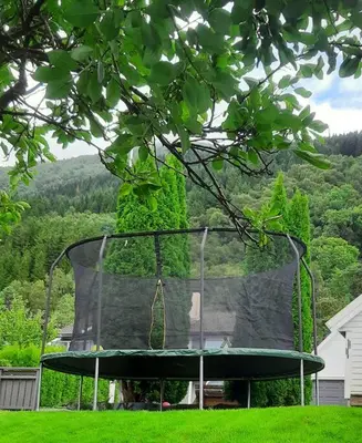 a cage in the middle of a yard with a tree at Apartment by the fjord in Storekra