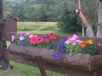 a wooden bench with a bunch of flowers on it at Smegarden Camping in Oppdal