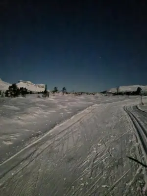 a dirt road in the middle of a snow covered field at Stor leilighet med 4 senger sentralt i Førde in Førde