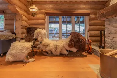 a group of three dogs sitting in a room at Chalet De Luxe 518 in Trysil