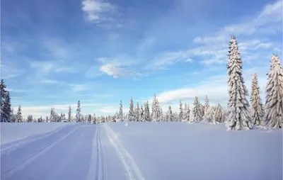 a snow covered field with snow covered trees and a road at Cozy Home In Sjusjøen With Kitchen in Sjusjøen