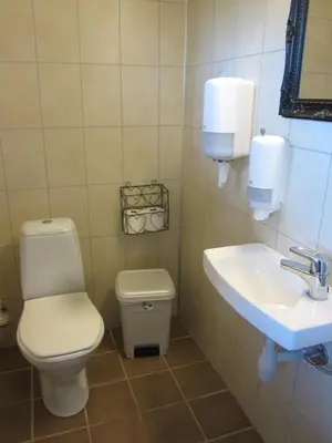 a bathroom with a toilet and a sink at Hesthaug Gard in Eidsdal
