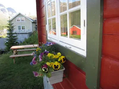 a window of a house with flowers in a window box at Hesthaug Gard in Eidsdal