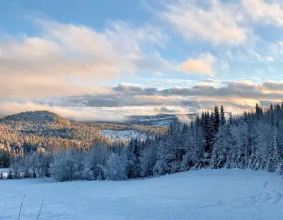 a snow covered field with trees and mountains in the background at Huso Mountain Lodge - Hemsedal in Eikregardane