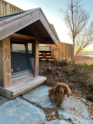 a dog sitting in front of a doghouse at Forbord Dome in Tilleraune