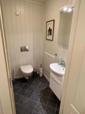 a bathroom with a toilet and a sink at Koselig rom i rolige omgivelser in Rena