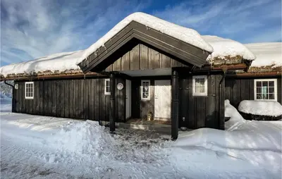 a house covered in snow with a dog standing outside at 5 Bedroom Awesome Home In Røn in Ron