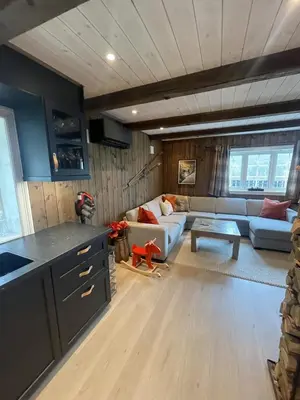 a living room with a couch and a table at Stugu - Koselig hytte med sentral beliggenhet in Åker