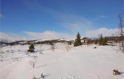 a snow covered field with trees and mountains at Bassebuupdalstøl in Tyinkrysset