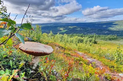 a large mushroom on the side of a hill at Active Adventure Base - Apartment & Lavvo, Dagali Fjellpark in Dagali