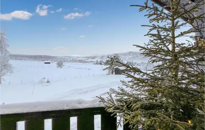 a snow covered field with a christmas tree at 1 Bedroom Amazing Apartment In Øyer in Øyer