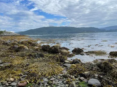 a large body of water with rocks and grass at Villa Blue Dream in Kristiansund