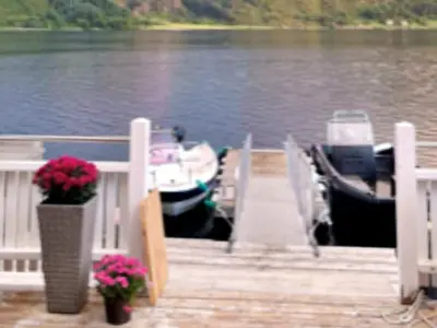 a dock with a boat on the water with flowers at 6 person holiday home in Gursken-By Traum in Larsnes
