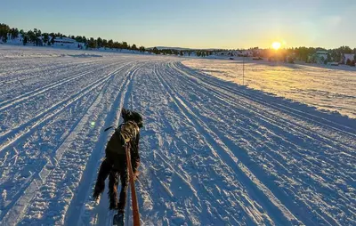 a dog is cross country skiing in the snow at Stunning Home In Kvam With Wifi in Kvam