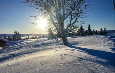 a tree in a snow covered field with the sun at 3 Bedroom Gorgeous Home In Sjusjøen in Sjusjøen