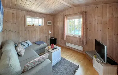 a living room with a couch and a television at Stunning Home In Sjusjøen With Sauna in Sjusjøen