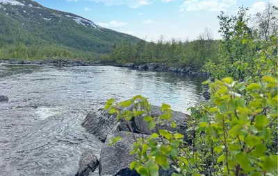 a view of a river with rocks and trees at 3 Bedroom Nice Home In Vøringsfoss in Maurset