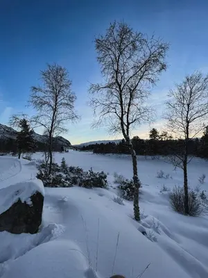 a snow covered field with trees and a body of water at Hovdestøylen Apartments in Hovden