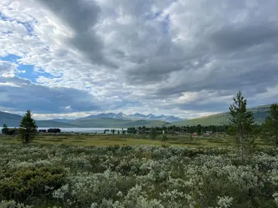 a field of flowers with mountains in the background at Maurtua - cabin in lovely surroundings in Kvam