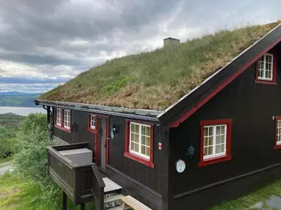a black house with a grass roof with a slope at Bjødnabakkvegen 22C in Beitostøl