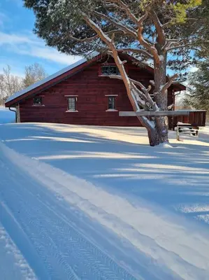 a wooden cabin with a tree in the snow at Koslig hytte ved Grimsdalen in Dovre