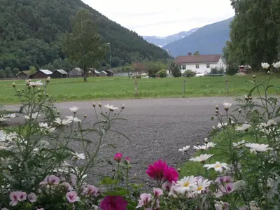 a field of flowers in front of a road at Petrines Gjestgiveri in Norddal