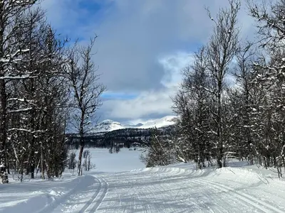 a snow covered road with trees and a mountain at Kinnkosen - cabin with panoramic view for 6 persons in Ål