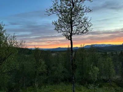 a tree in a field with a sunset in the background at Kinnkosen - cabin with panoramic view for 6 persons in Ål