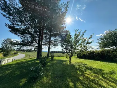 a field with two trees and a road at Lovely fully furnished apartment in Ottestad