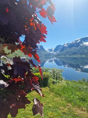 a view of a lake and mountains at Flo Bellevue in Stryn