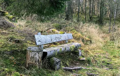 a wooden bench sitting on the side of a hill at Lovely Home In Bjordal With Kitchen in Bjordal