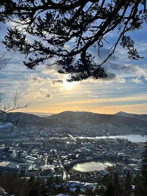a view of a city from a tree at Spacious and Beautiful Apartment in Bergen with free parking in Bergen