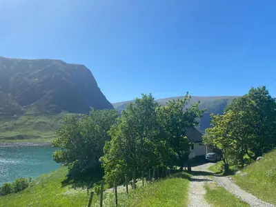 a house on the side of a hill next to a river at Honey bay cottage in Stadlandet