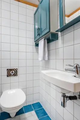 a bathroom with a toilet and a sink at Beitostølen! Midt i sentrum! Ski in ski out! Badstue-Massasjedusj-Steamdusj in Beitostøl