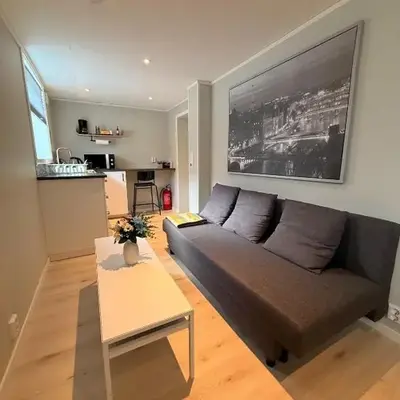 Cozy basement apartment in Orkanger