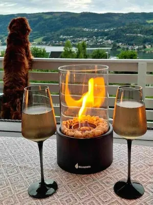 two glasses of wine and a fire in a vase at Solrikt og sentralt. Ta med både to og firbeinte in Lillehammer