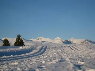 a snow covered road in the middle of a desert at Bjørgebu Camping AS in Mysusæter