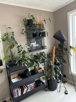 a room with a bunch of plants on a wall at Spacious house near city centre - WSC 2025! in Trondheim