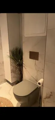 a white bathroom with a toilet and a plant at Sentral leilighet i Trondheim in Trondheim