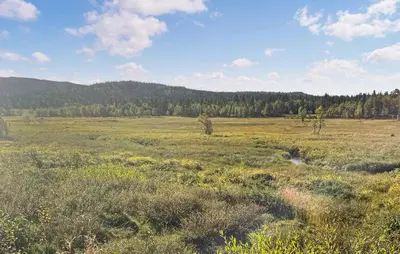 a large open field with trees in the background at Cozy Home In Gol With Sauna in Golsfjellet