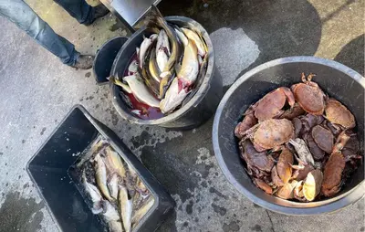 two bowls of food and a pan of fish on the ground at 2 Bedroom Cozy Home In Finnås in Grutle
