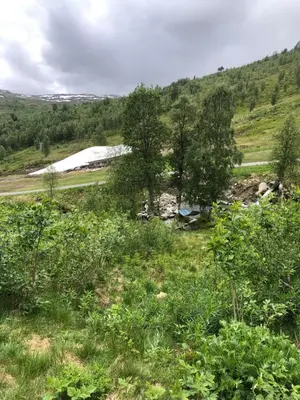 a field of grass with trees in the background at Cozy Nature Retreat, Danish Design w Jacuzzi option in Sogndal