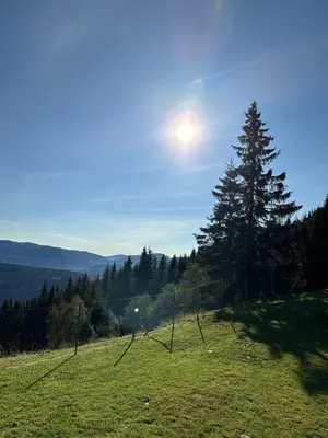 a tree on a hill with the sun in the sky at Apartment with beautiful panoramic view in Skulestadmo