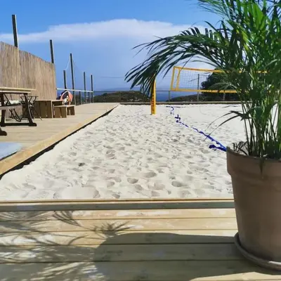 a sandy beach with a palm plant in a pot at Stabburet på Balsnes Gård in Hitra