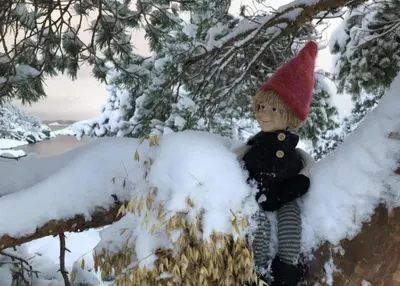 a doll wearing a red hat sitting in a snow covered tree at Svært nydelig fritidshytte in Forland