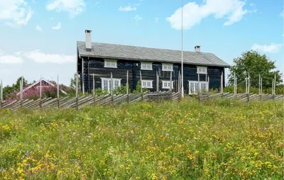 a house on a hill with a field of flowers at Gorgeous Home In Svatsum With Wifi in Svingvoll